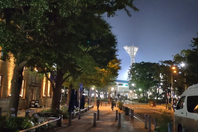 Night View Yokohama Private Tour - Common Questions
