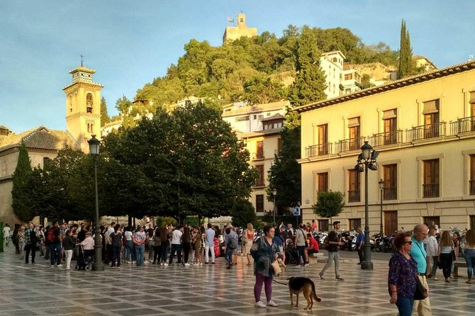 Night Viewpoints at the Alhambra in Granada - Reviews
