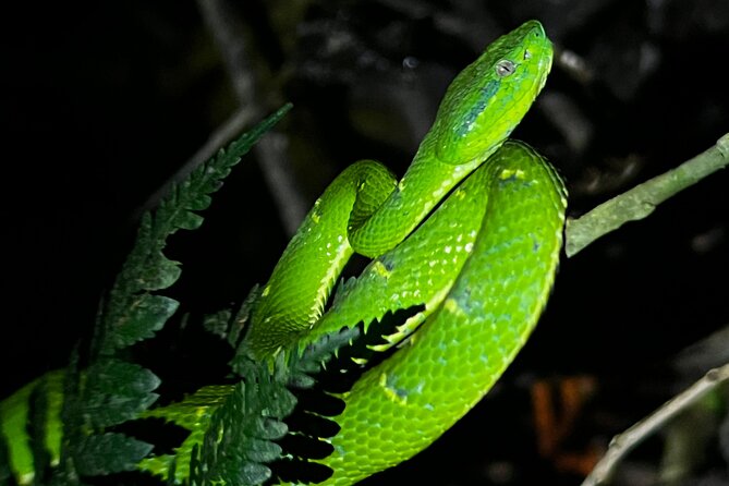 Night Walk at the Monteverde Refuge - Location and Meeting Point Details