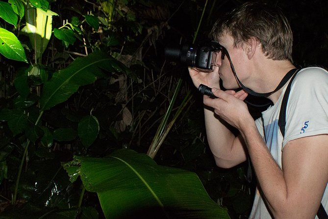 Night Walk in Tortuguero - Meeting Point and Start Time