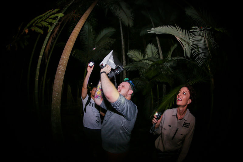 Night Walk Photography Tour at the Cairns Botanic Gardens - Frogs, insects and spiders are the main event