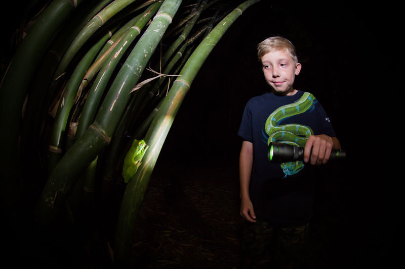 Night Walk Photography Tour at the Cairns Botanic Gardens - Is the price worth it?