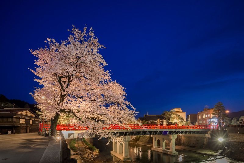Night Walking Tour in Takayama - A brief walk in a town that changes after dark