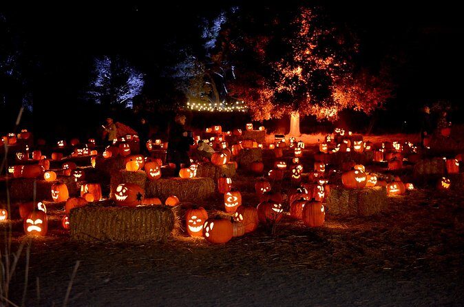 Nightfall - The Pros and Cons Based on Reviews