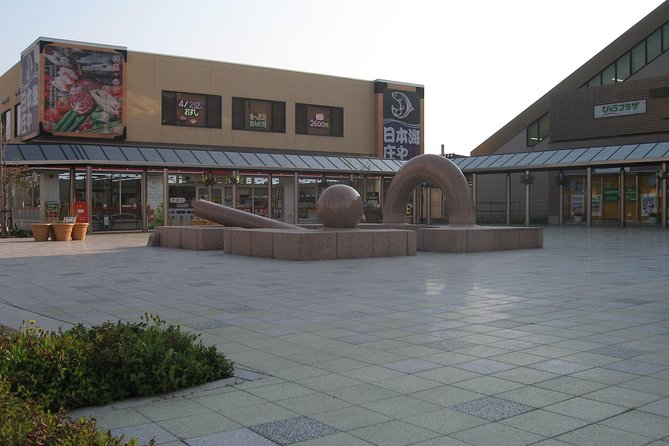 Niigata Custom Half Day Tour - Pricing and Booking Details