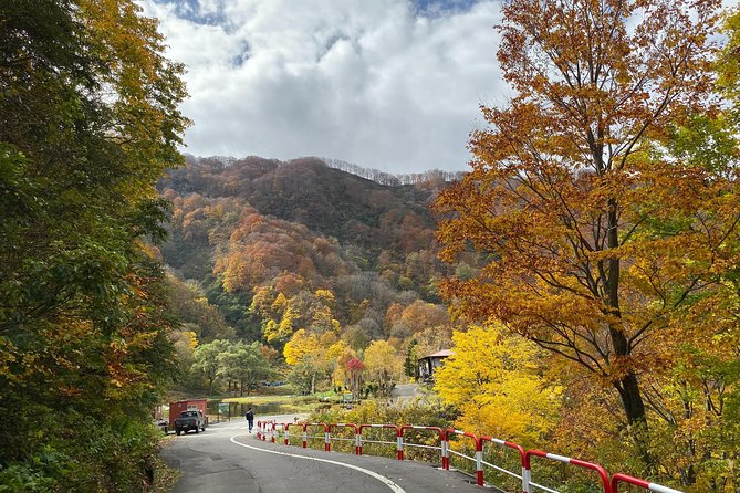 Niigata Custom Half Day Tour - Pickup and Transportation Details