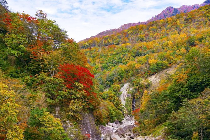 Niigata Custom Half Day Tour - Important Information