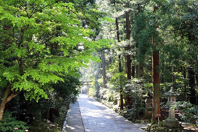 Niigata Private Artistry Tour - Inclusions and Meeting Details