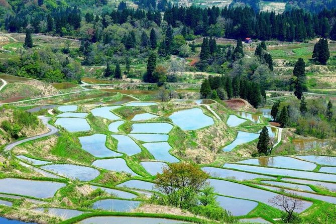 Niigata Private Artistry Tour - Additional Information and Cancellation Policy