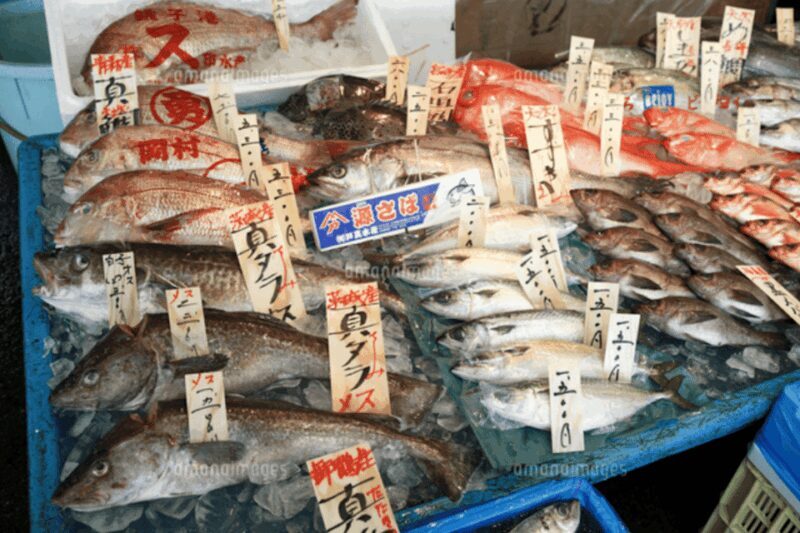 Niigata Private Custom Tour with Local Guide - Exploring the Highlights of the Niigata Private Tour