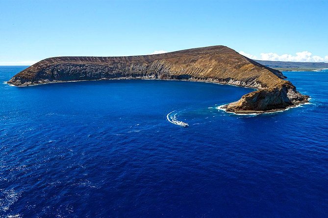 Niihau and Na Pali Coast Snorkel Boat Tour - Reviews and Feedback