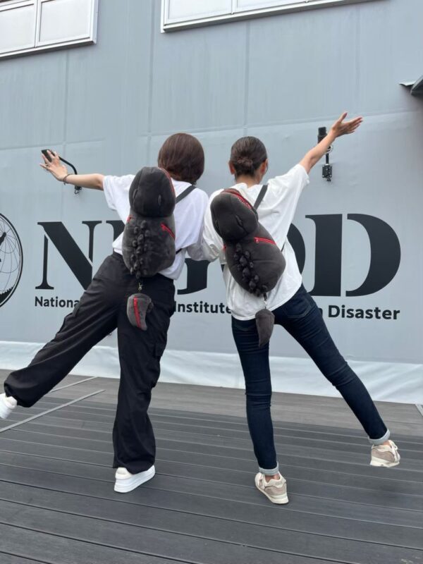 Nijigen No Mori Godzilla Attraction Ticket (Awaji Island) - Getting to Awaji Island takes planning