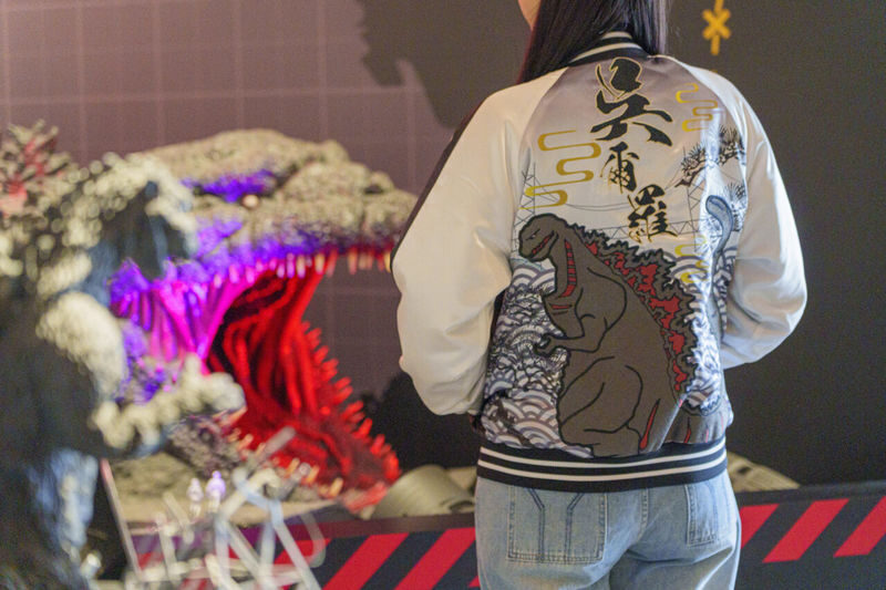 Nijigen No Mori Godzilla Attraction Ticket (Awaji Island) - Who will get the most from this attraction?