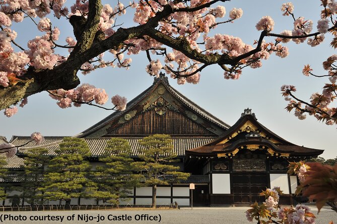 Nijo Castle, Golden Pavilion, Sanjusangen-Do Tour From Osaka - Reviews and Additional Information