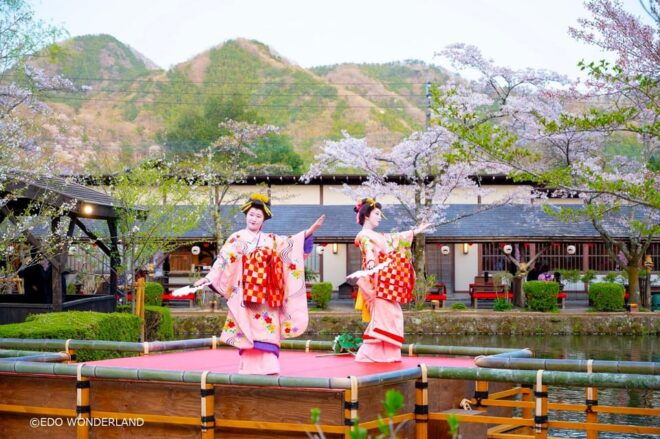 Nikko: Autumn Foliage, Edo Wonderland, & Fireworks Tour - Adventure at Edo Wonderland