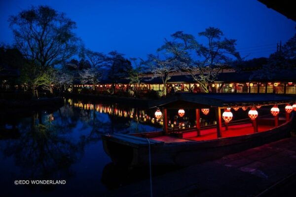 Nikko: Autumn Foliage, Edo Wonderland, & Fireworks Tour - Important Tour Information