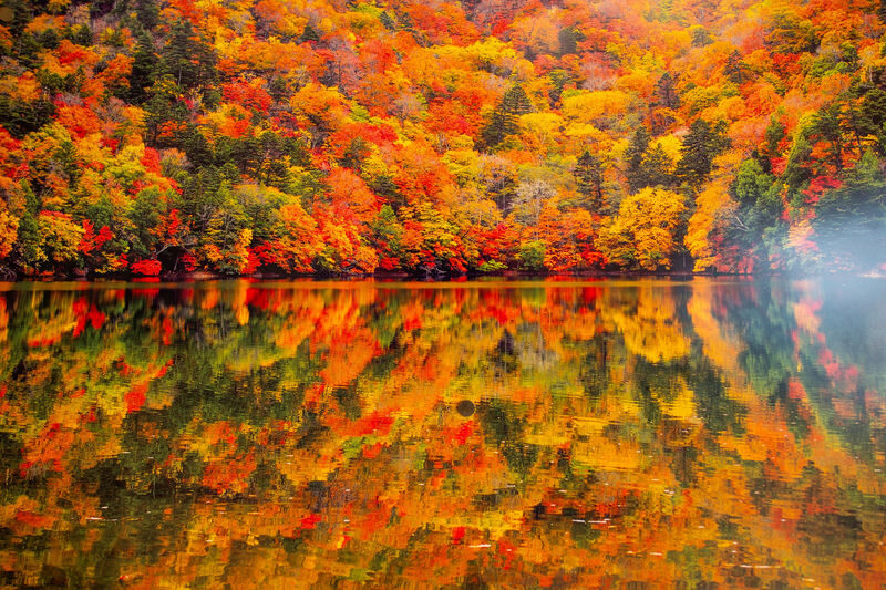 Nikko Autumn Special: Irohazaka, Kegon Falls & Toshogu Day Tour - Shinkyo Bridge’s brief photo stop