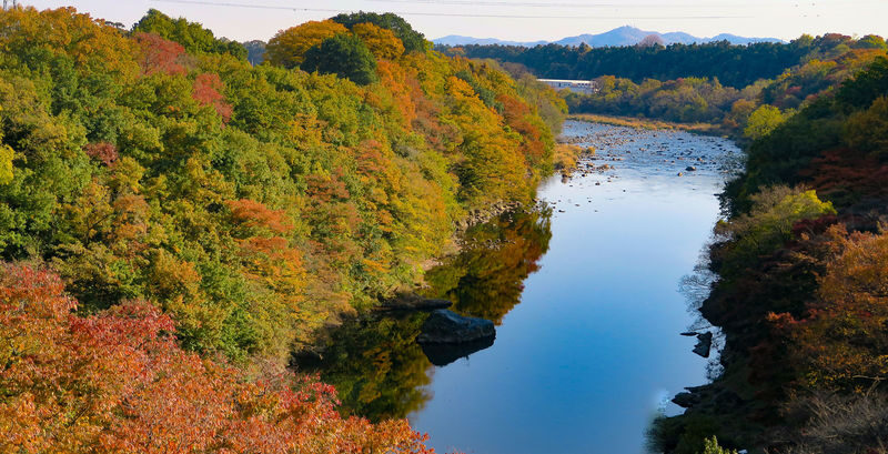 Nikko Autumn Special: Irohazaka, Kegon Falls & Toshogu Day Tour - Autumn timing: the biggest variable