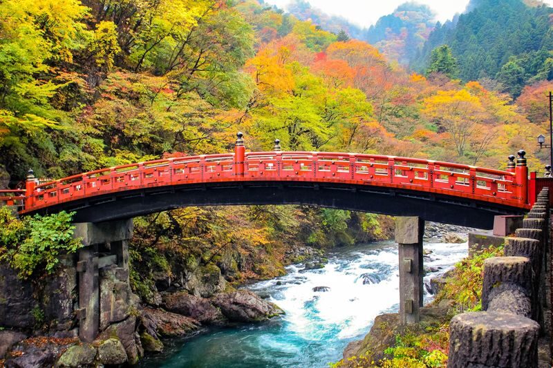 Nikko Autumn Special: Irohazaka, Kegon Falls & Toshogu Day Tour - Is $48.15 good value?