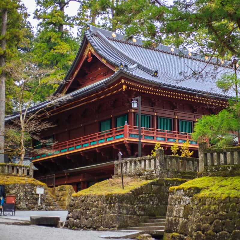 Nikko: Birdwatching Tour with Shrine and Temple Visit - Good To Know