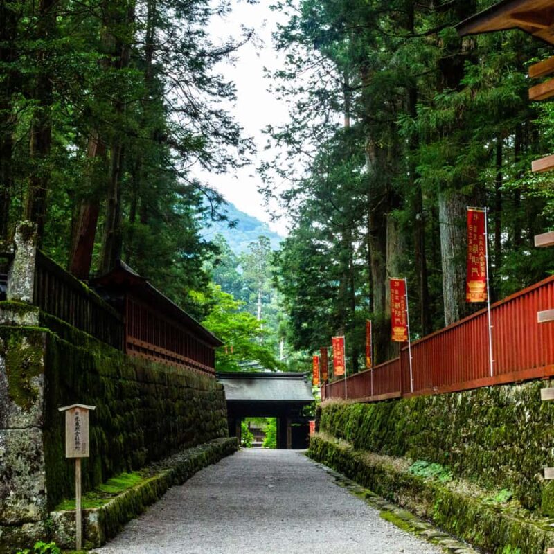 Nikko: Birdwatching Tour with Shrine and Temple Visit - Exploring Nikko: A Perfect Blend of Nature and Culture