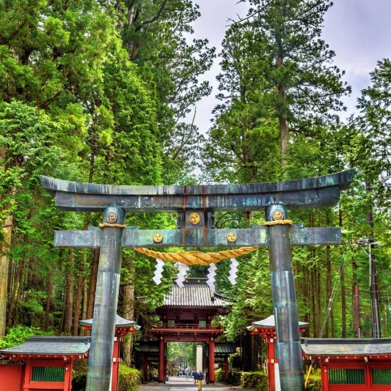 Nikko: Birdwatching Tour with Shrine and Temple Visit - Introduction: Why This Tour Might Catch Your Eye