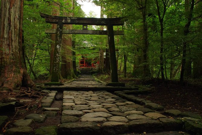 Nikko Custom Full Day Tour - Pickup and Transportation