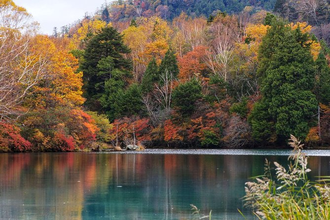 Nikko Custom Full Day Tour - Common Questions