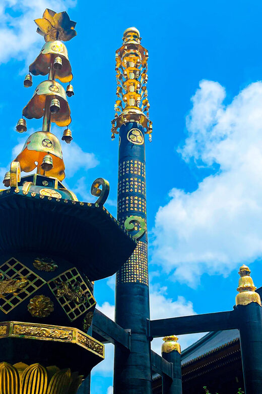 Nikko: Day Tour from Tokyo in Spanish - Spanish - Good To Know