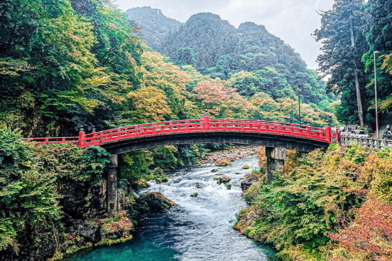 Nikko: Day Tour from Tokyo in Spanish - Spanish - Why Choose This Tour?