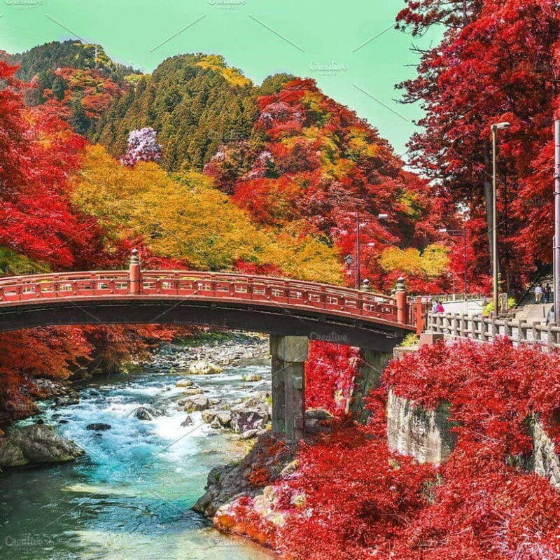 Nikko Day Tour from Tokyo with English Speaking Driver - Why Choose a Private Nikko Day Tour?