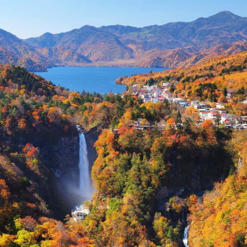 Nikko Day Tour from Tokyo with English Speaking Driver - Valuing the Experience: What’s Included and What’s Not