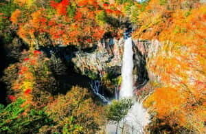 Nikko Day Tour from Tokyo with English Speaking Driver - Who Is This Tour Best For?