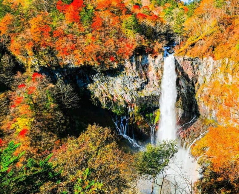 Nikko Day Tour from Tokyo with English Speaking Driver - FAQ
