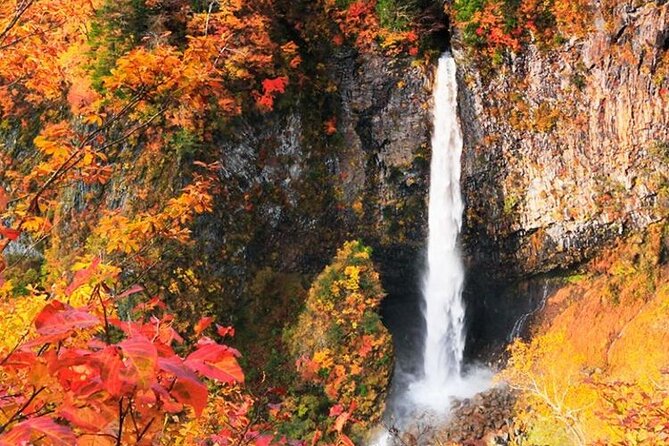 Nikko Full Day Private Tour Driver or Guide - Additional Information