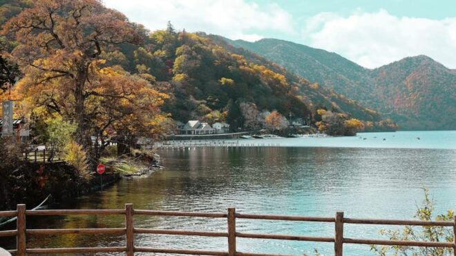 Nikko Full Day Private Tour With English Speaking Driver - Accessibility Features