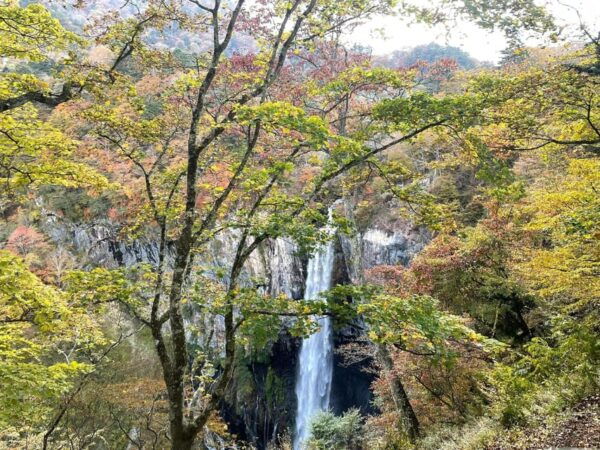 Nikko Full Day Private Tour With English Speaking Guide - Tips for Travelers