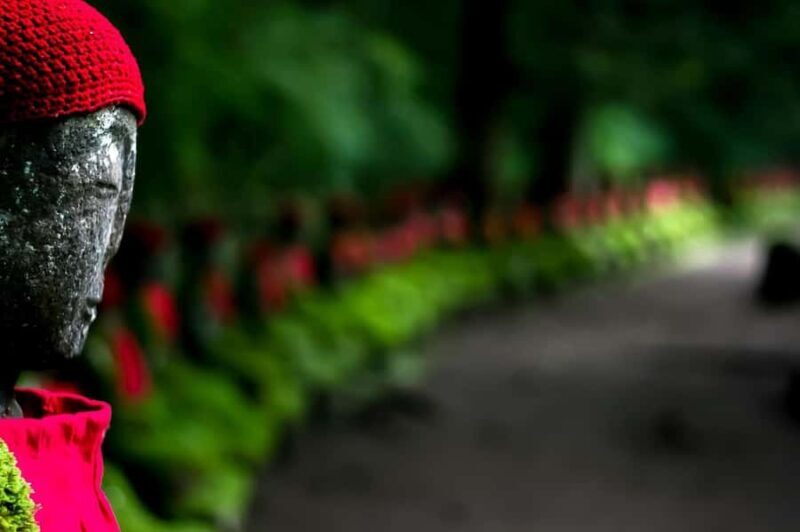 Nikko: Full-Day Private Tour with Local Lunch & Hotel Pickup - Who This Tour Is Best For