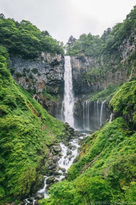 Nikko: Full-Day Private Tour with Local Lunch & Hotel Pickup - Who This Tour Is Best For