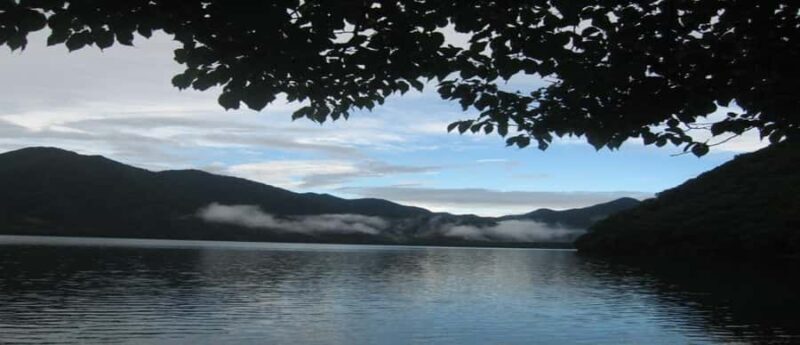 Nikko: Full-Day Private Tour with Local Lunch & Hotel Pickup - The Sum Up