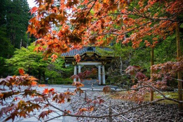 Nikko Full Day Private Trip and Sightseeing: - Traveler Reviews