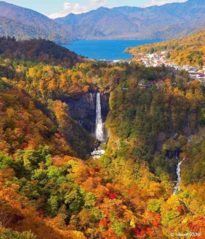Nikko Full-Day Tour from Tokyo  UNESCO Shrine & Kegon Falls - Who Will Love This Tour?