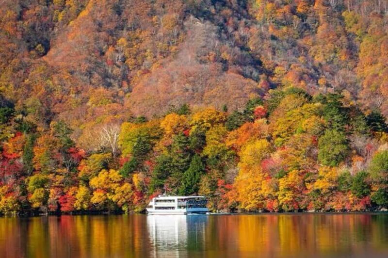 Nikko Full-Day Tour from Tokyo UNESCO Shrine & Kegon Falls - Practical Tips for Your Trip