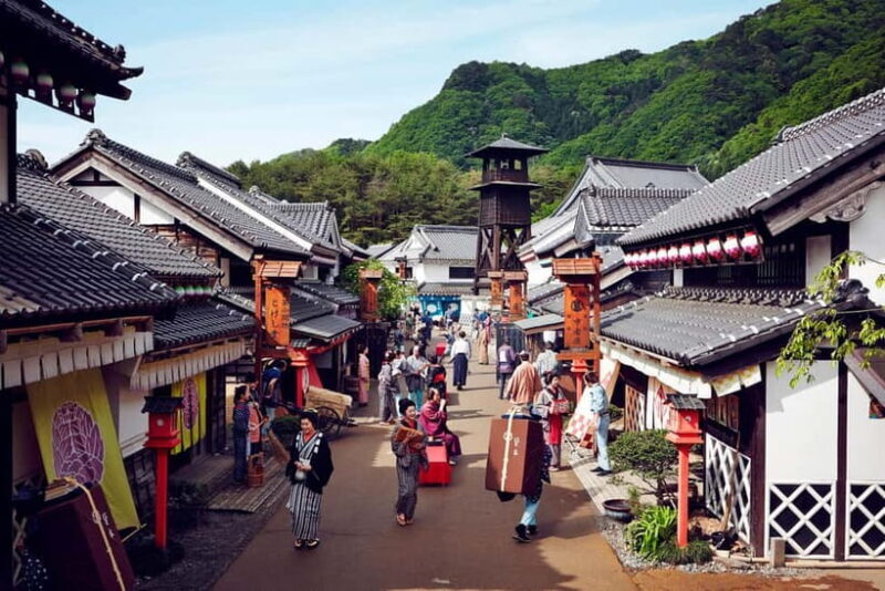Nikko in Style: Luxury private Day Tour with English guide - A Deep Dive into the Experience