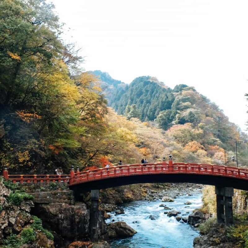Nikko: Kegon Falls, Lake Chuzenji & Toshogu Temple - Exploring the UNESCO: Toshogu Shrine