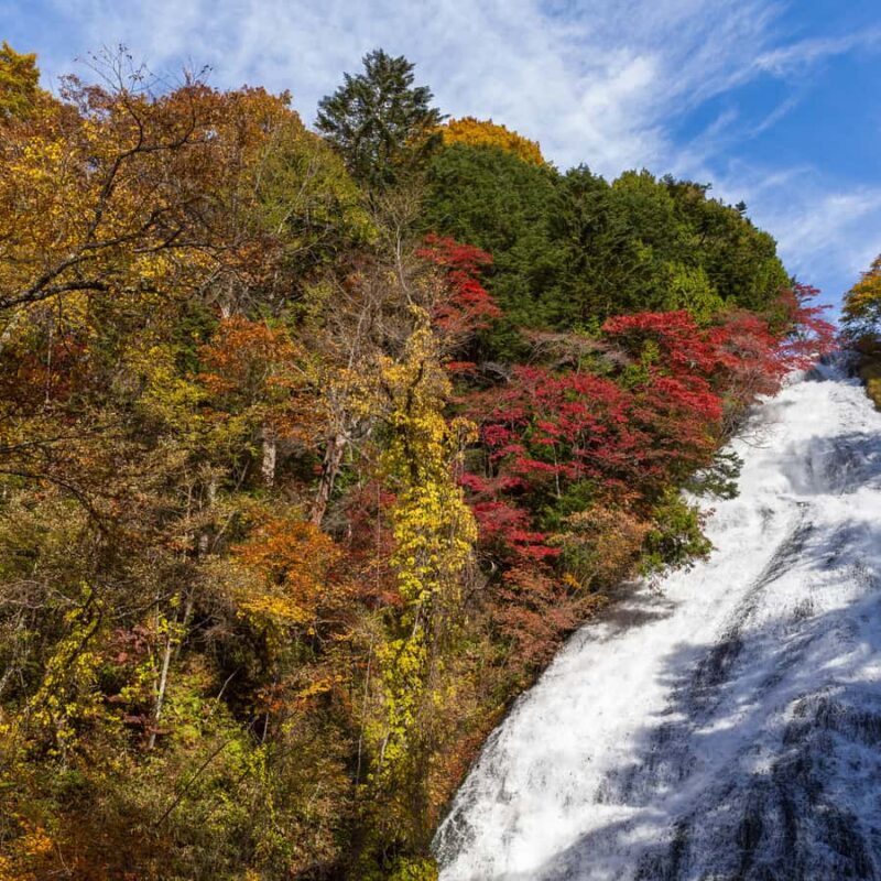 Nikko: Kegon Falls, Lake Chuzenji & Toshogu Temple - Practical Insights & Tips for Travelers