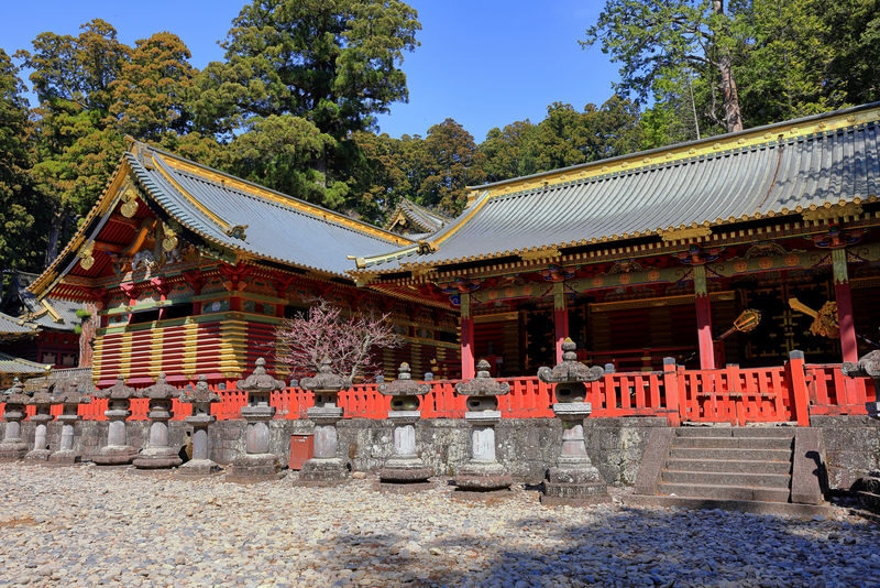 Nikko, Kegon Waterfall & Chuzenji Lake from Tokyo - Leaving Tokyo for Nikko