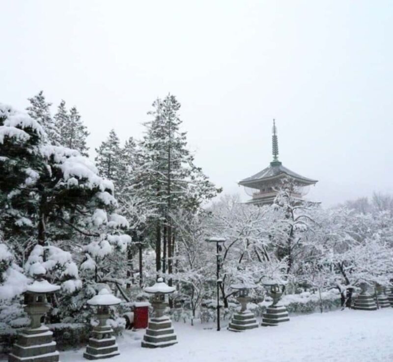 Nikko: Nagano Private Full-Day Tour with Guide - Final Words