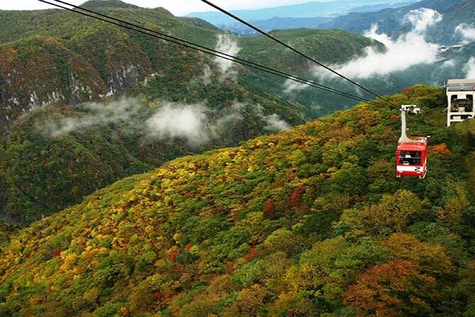 Nikko Private 1-Day Sightseeing Tour With English Speaking Guide - Tour Details