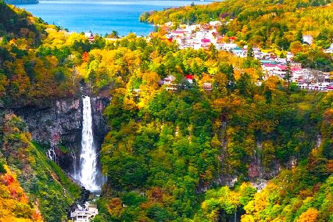 Nikko Private 1-Day Sightseeing Tour With English Speaking Guide - Reviews